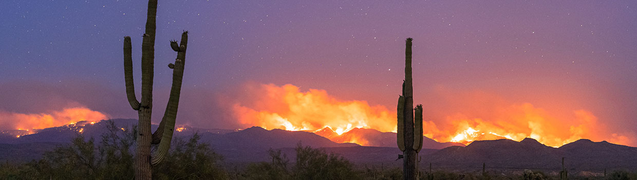 a wild fire in the desert