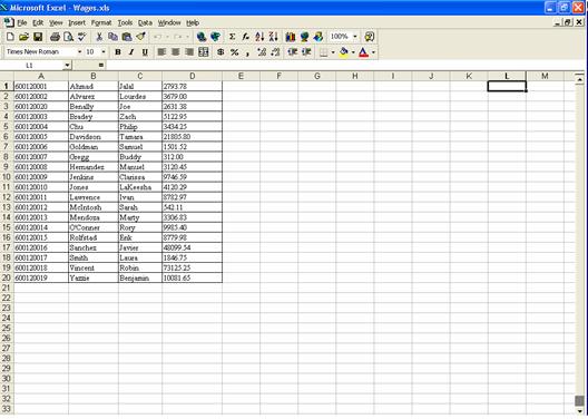 Wage File Upload Instructions - Creating a .txt File with Excel ...