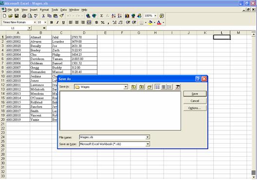 Wage File Upload Instructions Creating A Csv File With Excel 3744