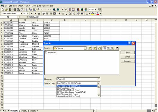 Wage File Upload Instructions Creating A Txt File With Excel Arizona Department Of Economic 6783