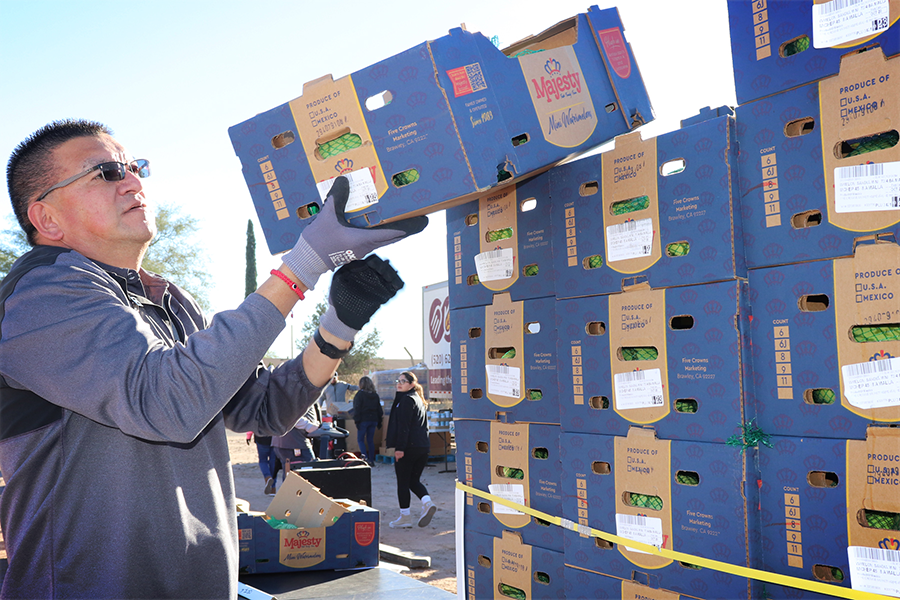 A man stacking blue produce boxes with "Majesty" branding at a food distribution event outdoors.