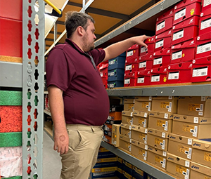 A person in a maroon shirt and khaki pants reaches for a red shoe box on a shelf in a storage area lined with various colored shoe boxes.