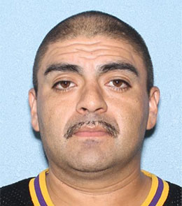 A Hispanic man with buzzed, brown hair, brown eyes, and a mustache is wearing black t-shirt with yellow and purple collar