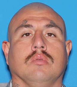Orlando Moya, Jr.