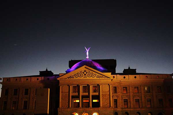 a dome-shaped rooftop with a statue of an angel is shown in purple light