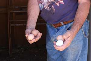Close-up of a man holding out his arms with two eggs in each hand.