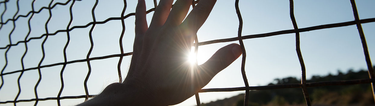 a man's hand touching a chain-linked fence; a desert landscape is on the other side of the fence
