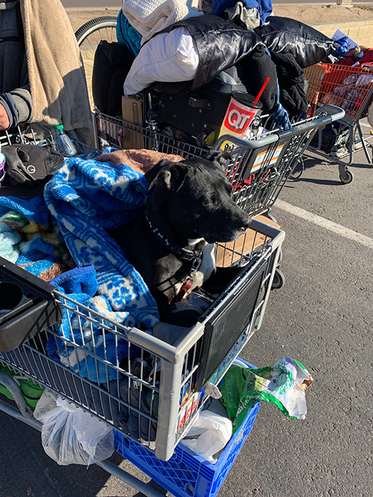 three shopping carts are side by side on a parking lot; each are overflowing with blankets, clothing, pillows and miscellaneous items