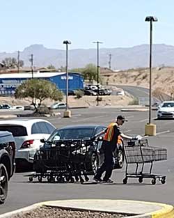 a grocery store worker collecting shopping carts in parking lot