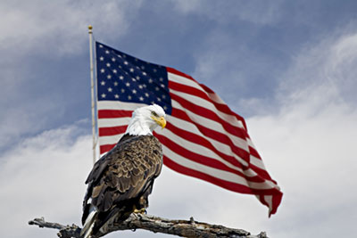 United States Flag and the American eagle