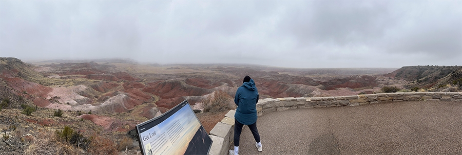 A person in a blue jacket overlooks the colorful hills of the Painted Desert under an overcast sky.