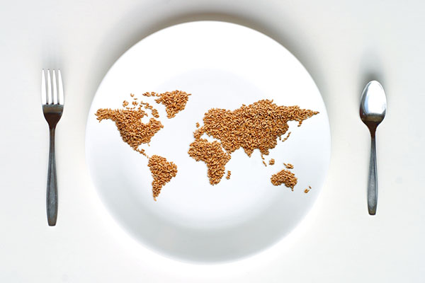 brown rice shaped into a map of the world is served on a white plate