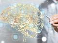 doctor analyzing the brain