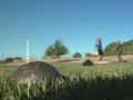 shot put ball