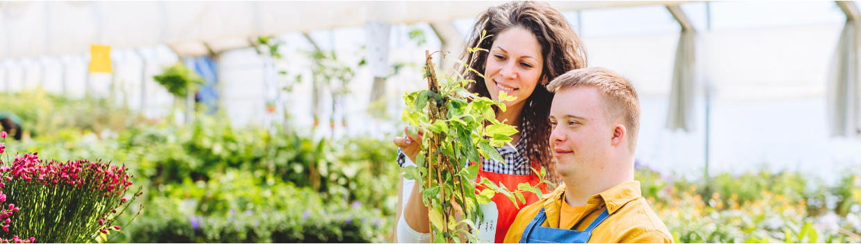 Two garden center employees inspect a plant