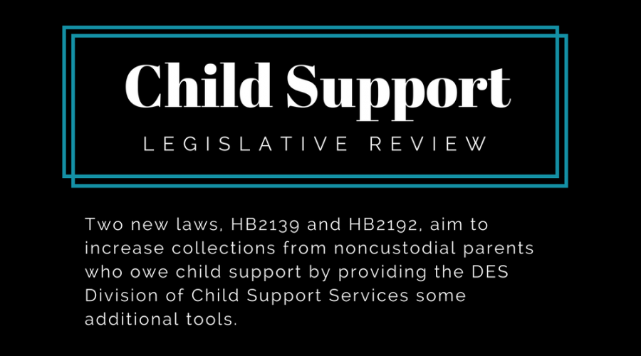 Child Support Legislative Review