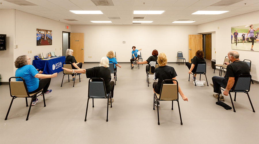A group of older adults participate in a seated exercise class.