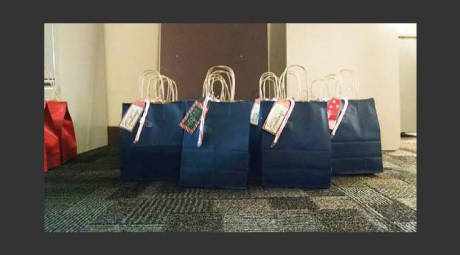 DCSS Gift Bags 1