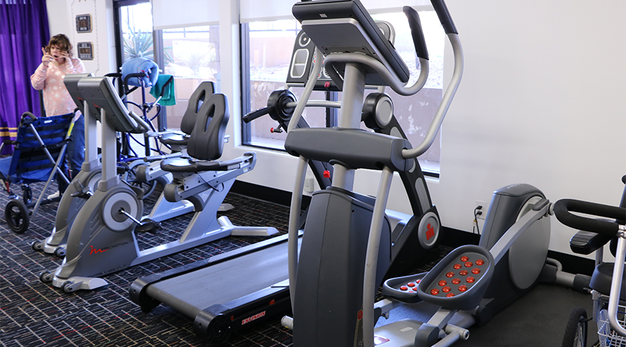 Various fitness equipment line a wall.  The equipment includes a step machine, a treadmill and two stationary bicycles.