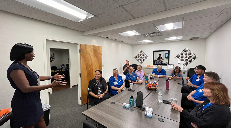 A woman addresses a group of people seated around a table in a meeting room.